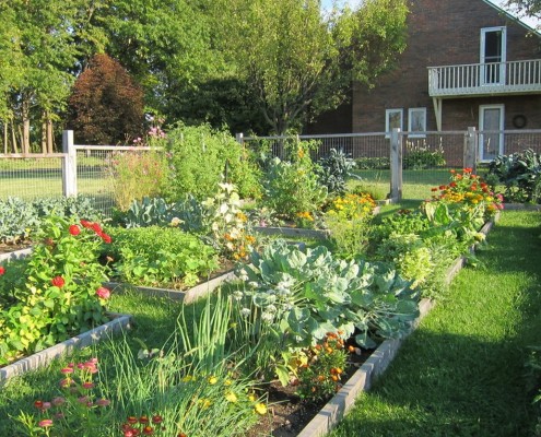 Комбинация «приятного с полезным» только украсит ваш участок