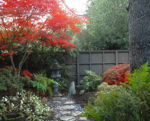 Японский стиль. Японский клен осенью