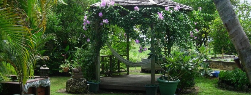 Зеленая беседка